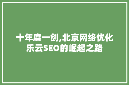 十年磨一剑,北京网络优化乐云SEO的崛起之路
