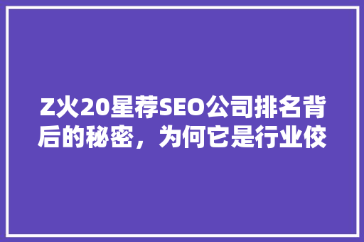 Z火20星荐SEO公司排名背后的秘密，为何它是行业佼佼者
