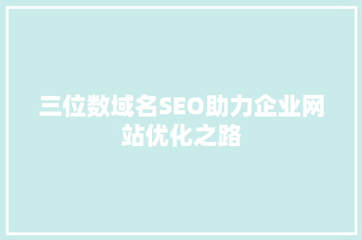 三位数域名SEO助力企业网站优化之路
