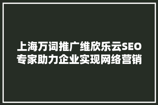 上海万词推广维欣乐云SEO专家助力企业实现网络营销新突破