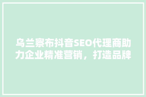 乌兰察布抖音SEO代理商助力企业精准营销，打造品牌影响力