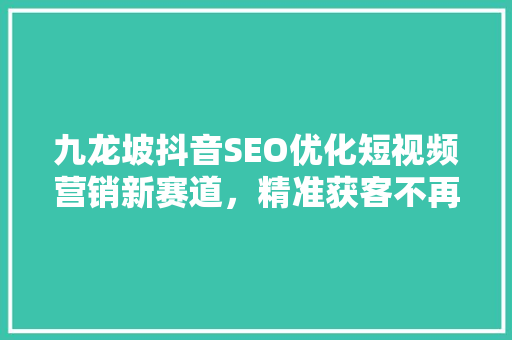 九龙坡抖音SEO优化短视频营销新赛道，精准获客不再是难题