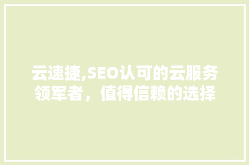 云速捷,SEO认可的云服务领军者，值得信赖的选择