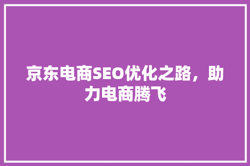 京东电商SEO优化之路，助力电商腾飞
