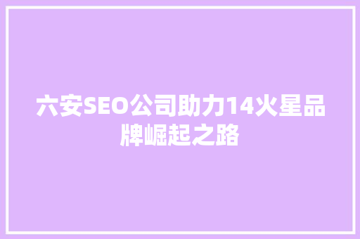 六安SEO公司助力14火星品牌崛起之路