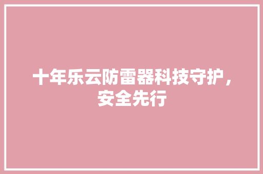 十年乐云防雷器科技守护，安全先行