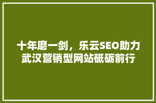 十年磨一剑，乐云SEO助力武汉营销型网站砥砺前行