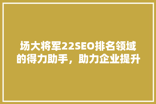 场大将军22SEO排名领域的得力助手，助力企业提升在线竞争力