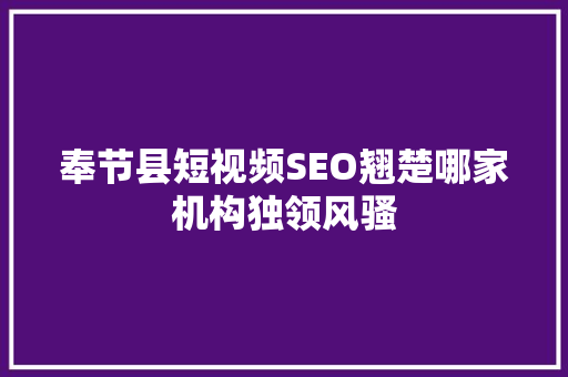奉节县短视频SEO翘楚哪家机构独领风骚