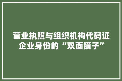营业执照与组织机构代码证企业身份的“双面镜子”