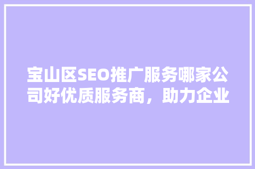 宝山区SEO推广服务哪家公司好优质服务商，助力企业腾飞