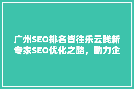 广州SEO排名皆往乐云践新专家SEO优化之路，助力企业提升网络竞争力