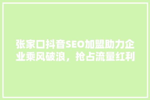 张家口抖音SEO加盟助力企业乘风破浪，抢占流量红利