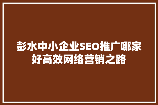 彭水中小企业SEO推广哪家好高效网络营销之路