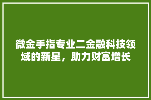 微金手指专业二金融科技领域的新星，助力财富增长