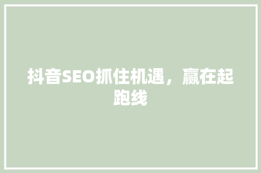 抖音SEO抓住机遇，赢在起跑线