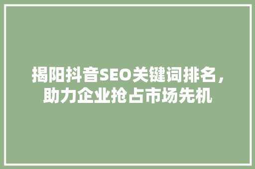 揭阳抖音SEO关键词排名，助力企业抢占市场先机
