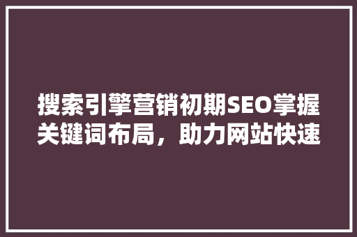 搜索引擎营销初期SEO掌握关键词布局，助力网站快速崛起
