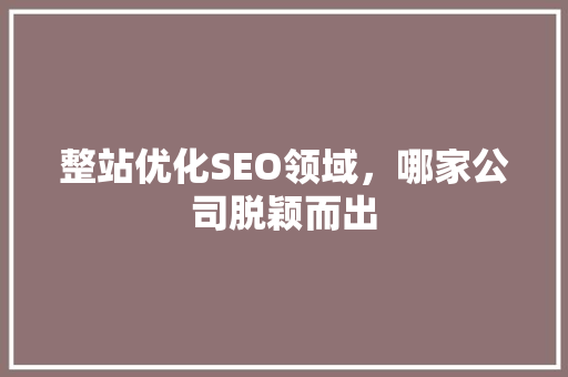 整站优化SEO领域，哪家公司脱颖而出