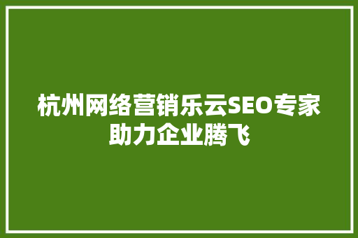 杭州网络营销乐云SEO专家助力企业腾飞