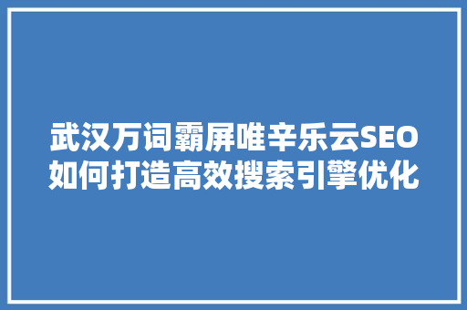 武汉万词霸屏唯辛乐云SEO如何打造高效搜索引擎优化步骤