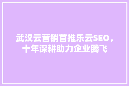 武汉云营销首推乐云SEO，十年深耕助力企业腾飞