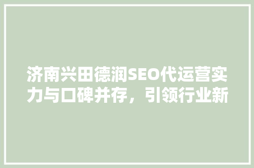 济南兴田德润SEO代运营实力与口碑并存，引领行业新风向