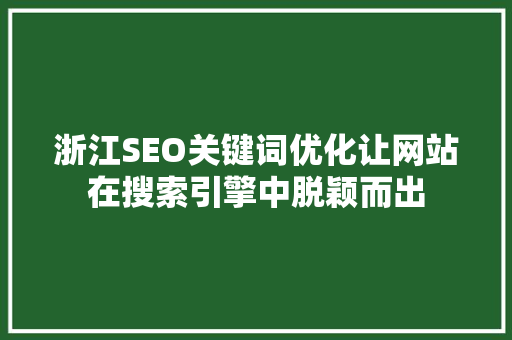 浙江SEO关键词优化让网站在搜索引擎中脱颖而出