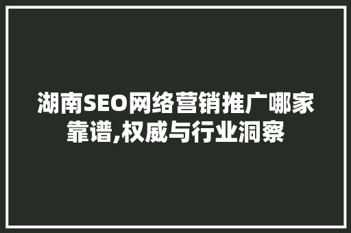 湖南SEO网络营销推广哪家靠谱,权威与行业洞察