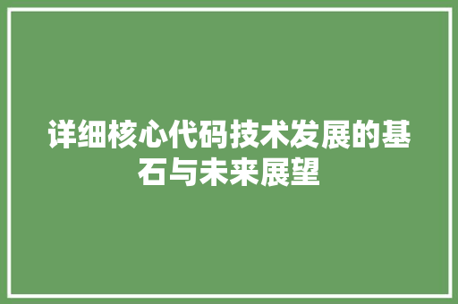 详细核心代码技术发展的基石与未来展望