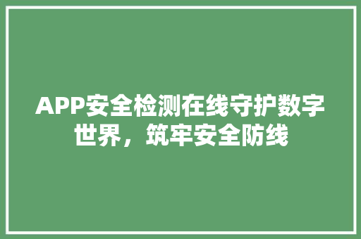 APP安全检测在线守护数字世界，筑牢安全防线