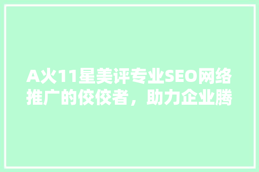 A火11星美评专业SEO网络推广的佼佼者，助力企业腾飞