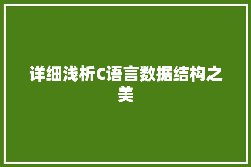 详细浅析C语言数据结构之美