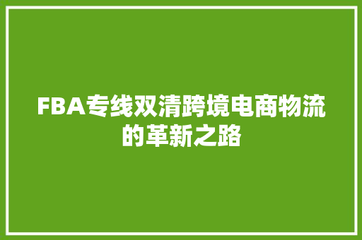 FBA专线双清跨境电商物流的革新之路