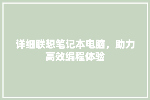 详细联想笔记本电脑，助力高效编程体验