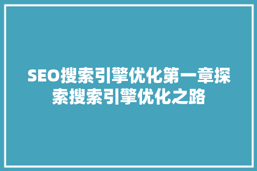 SEO搜索引擎优化第一章探索搜索引擎优化之路