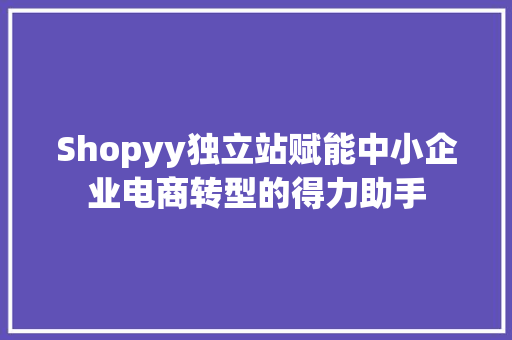 Shopyy独立站赋能中小企业电商转型的得力助手