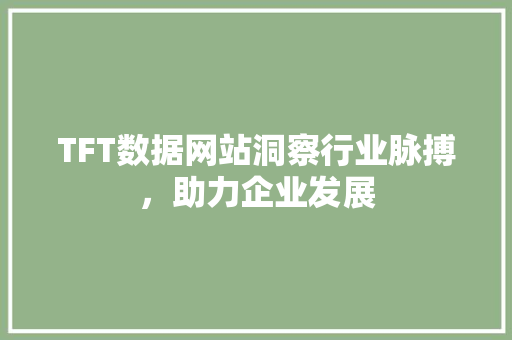 TFT数据网站洞察行业脉搏，助力企业发展