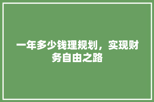 一年多少钱理规划，实现财务自由之路
