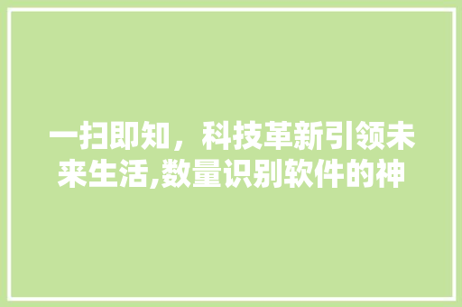 一扫即知，科技革新引领未来生活,数量识别软件的神奇魅力
