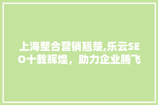 上海整合营销翘楚,乐云SEO十载辉煌，助力企业腾飞
