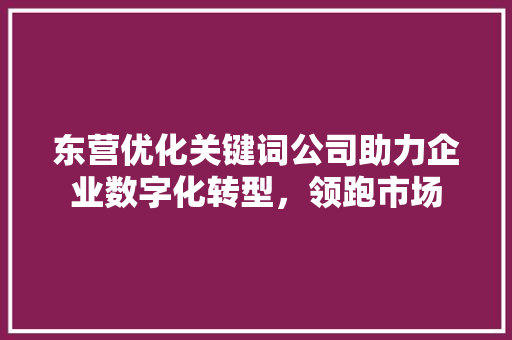 东营优化关键词公司助力企业数字化转型，领跑市场