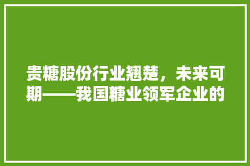 贵糖股份行业翘楚，未来可期——我国糖业领军企业的发展之路