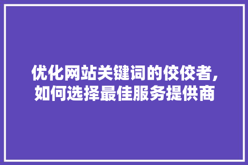 优化网站关键词的佼佼者,如何选择最佳服务提供商