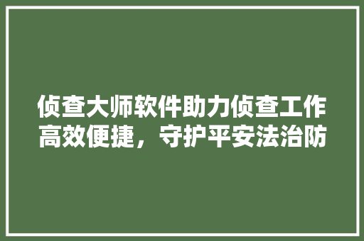 侦查大师软件助力侦查工作高效便捷，守护平安法治防线