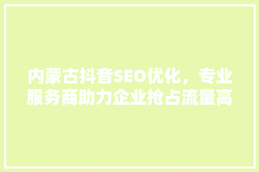 内蒙古抖音SEO优化，专业服务商助力企业抢占流量高地