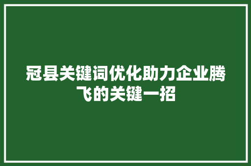 冠县关键词优化助力企业腾飞的关键一招