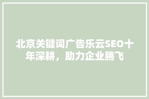 北京关键词广告乐云SEO十年深耕，助力企业腾飞