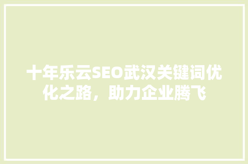 十年乐云SEO武汉关键词优化之路，助力企业腾飞