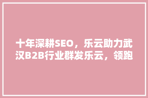 十年深耕SEO，乐云助力武汉B2B行业群发乐云，领跑数字营销新格局